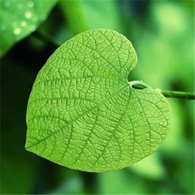 超级跑车沙漠赛